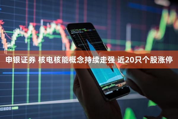 申银证券 核电核能概念持续走强 近20只个股涨停