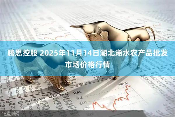 腾思控股 2025年11月14日湖北浠水农产品批发市场价格行情