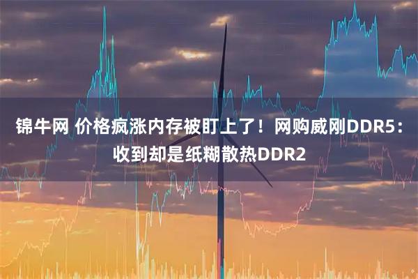 锦牛网 价格疯涨内存被盯上了！网购威刚DDR5：收到却是纸糊散热DDR2